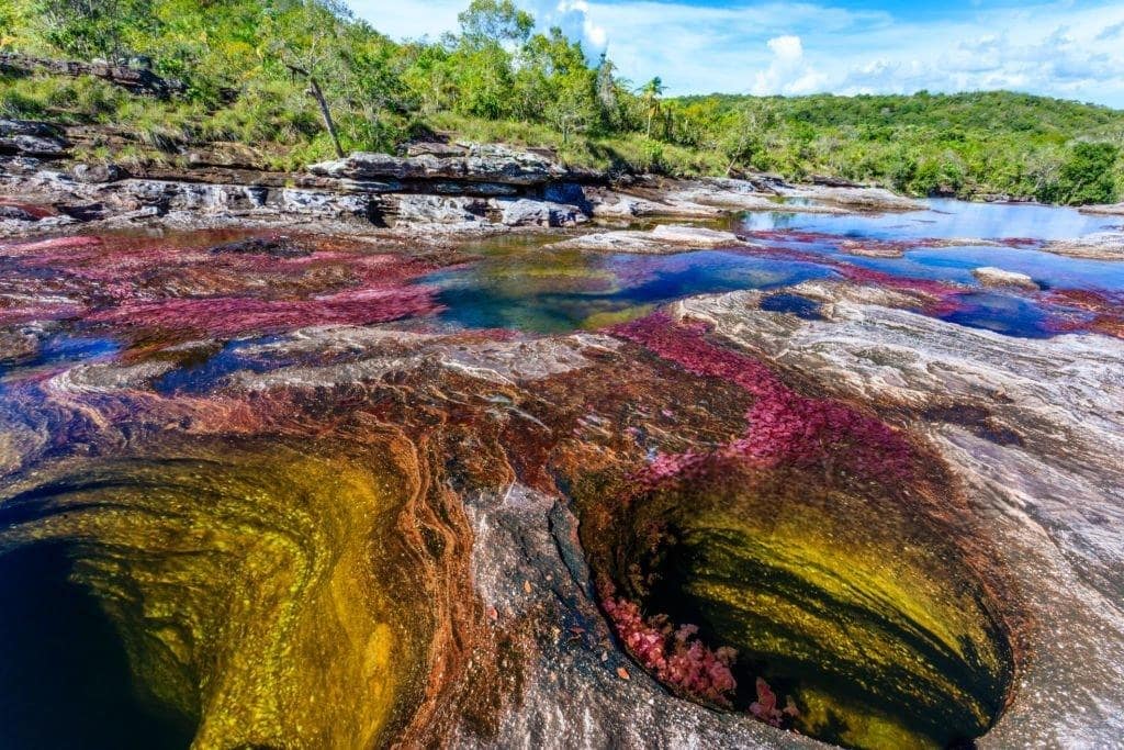Caño Cristales Colombia