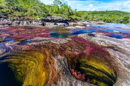 Caño Cristales Natural Wonder Tour