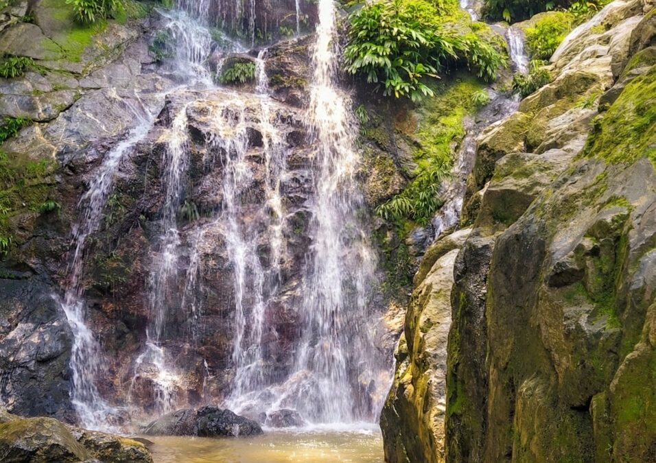 Minca Colombia