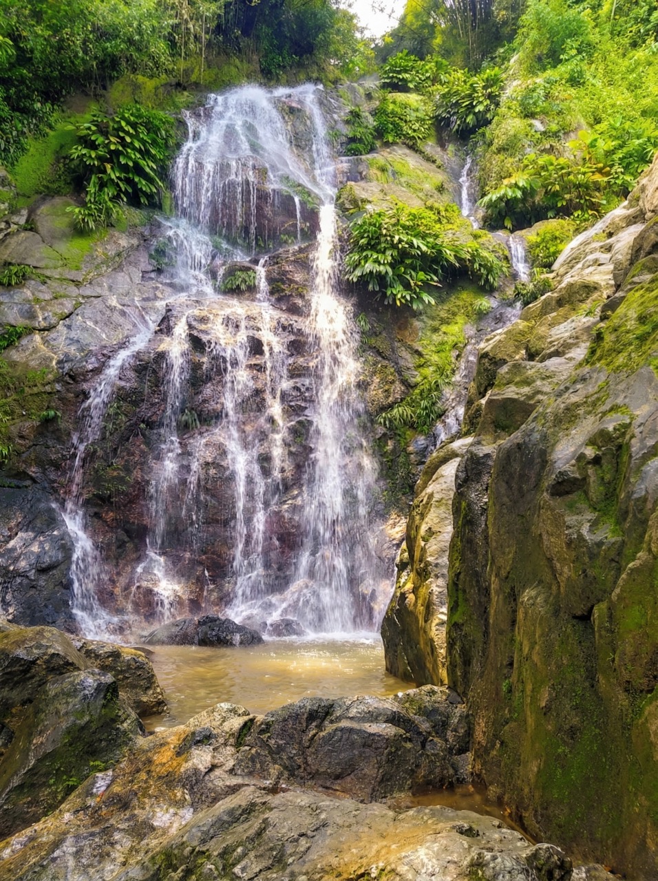 minca colombia