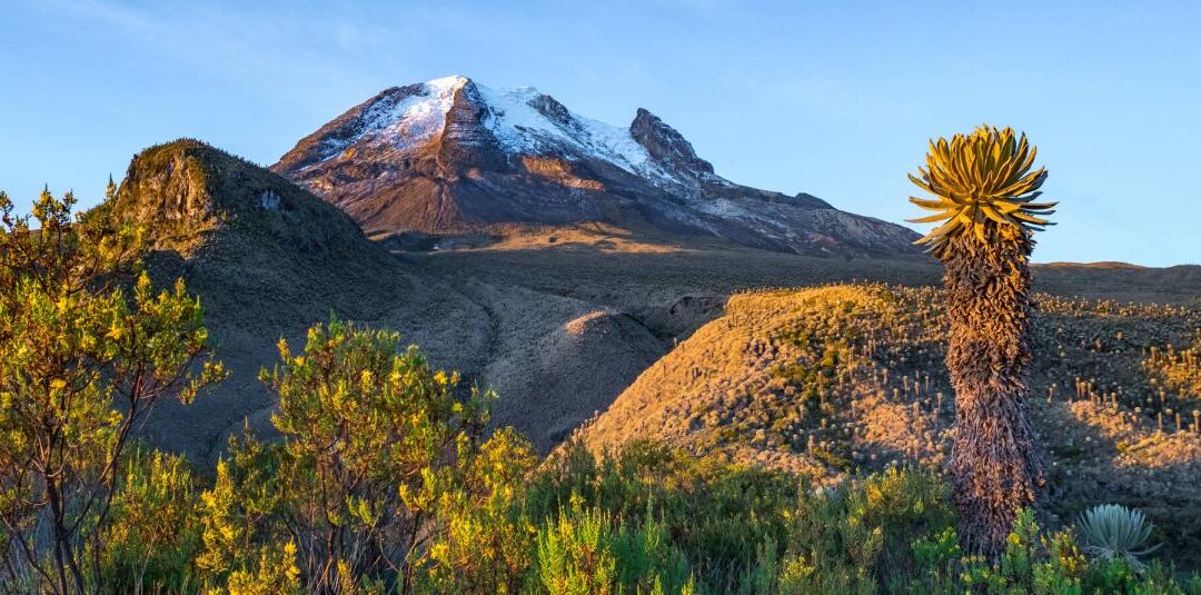 El clima y la biodiversidad en Colombia