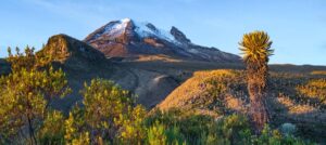 el clima y la biodiversidad en colombia