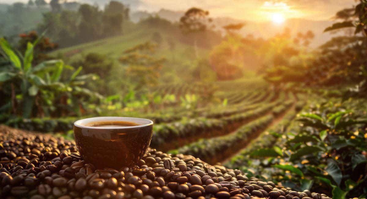 cultura del café en colombia