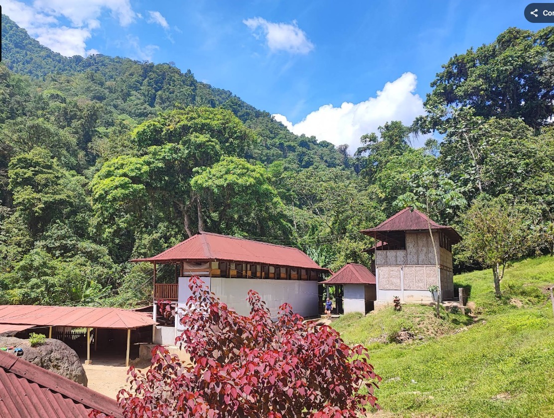 campamento ciudad perdida