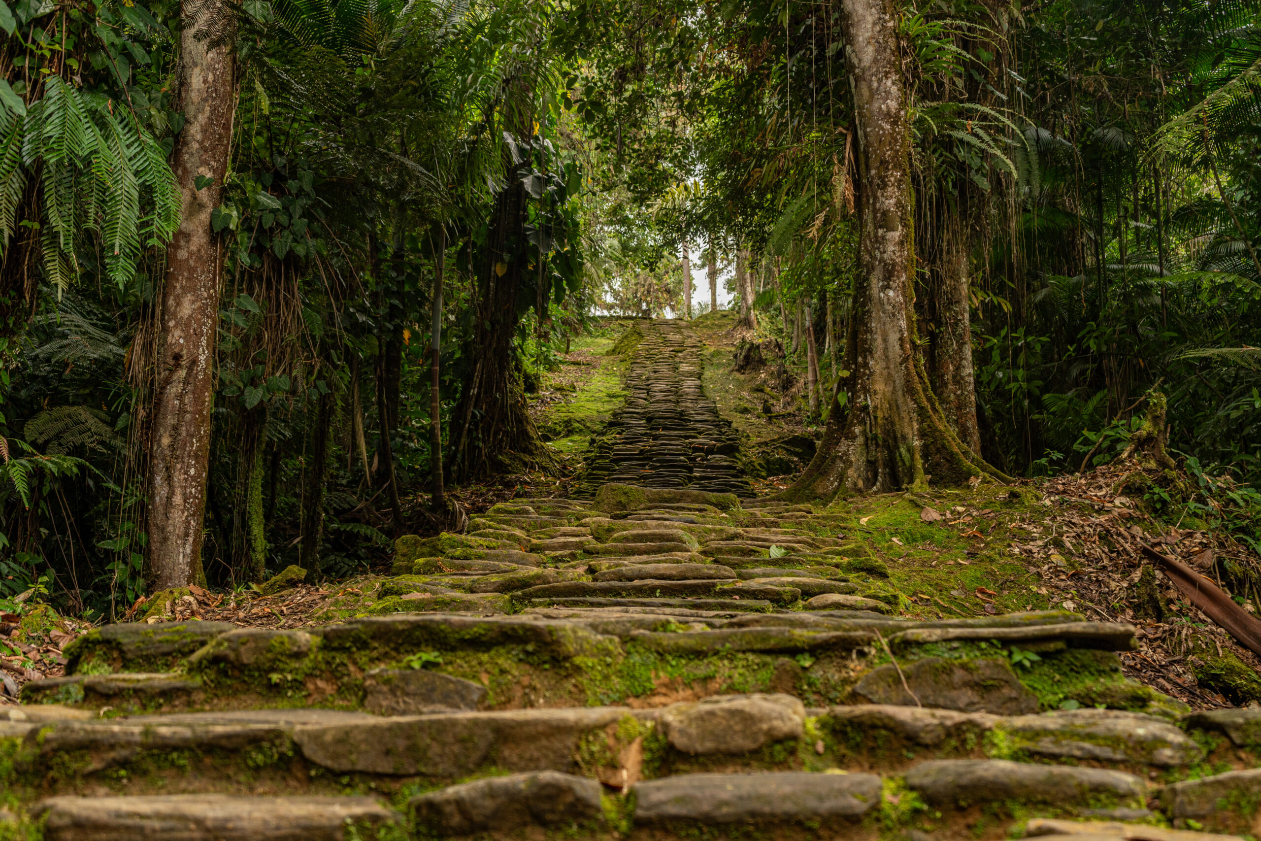 camino ancestrale ciudad perdida