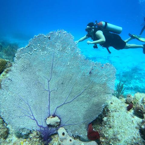 dive san andres