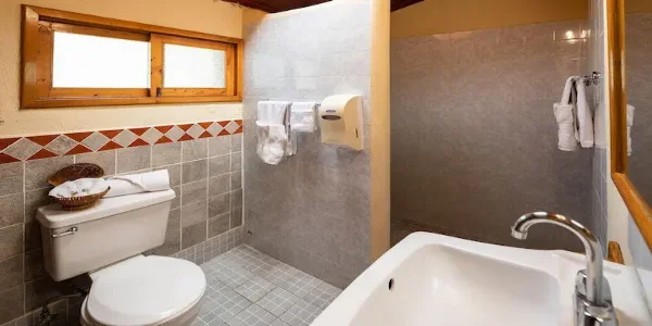 baño-regis-flores