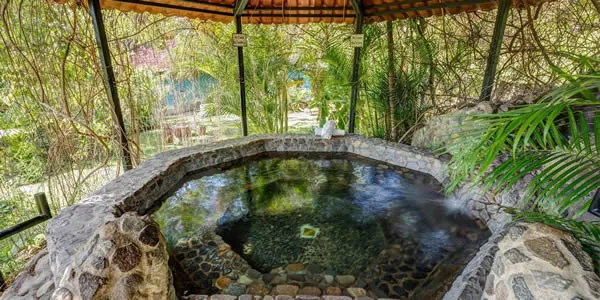 spa-regis-flores spa-regis-flores
