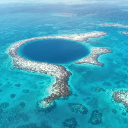 Belize Barrier Reef and Marine Expeditions